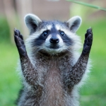 Profile picture of José López