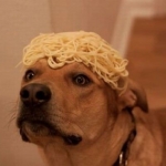 Profile picture of Fernando Ocaña